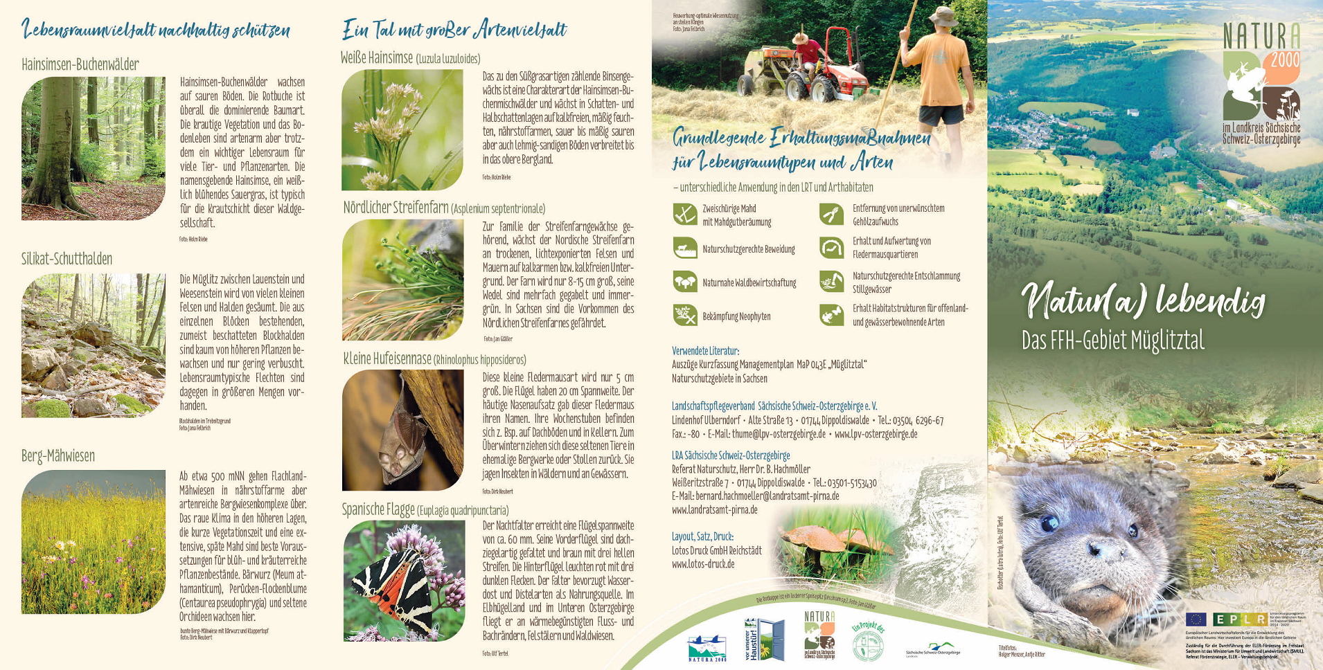 tl_files/downloads/Bilder Projekte/Projektstellen/Natura 2000 1.0/Flyer/FFH-Gebiet_Mueglitztal_1.png